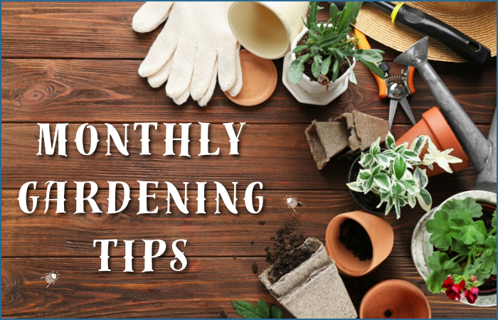 Monthly Gardening Tips