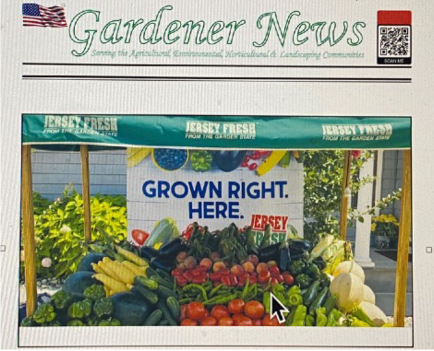 August Monthly Gardening Tip