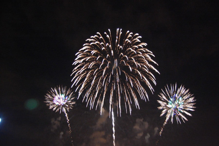 January 2026 Monthly Gardening Tips