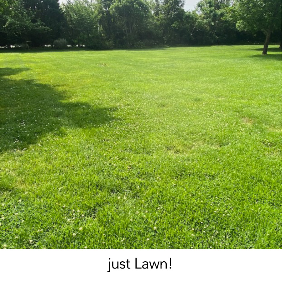 just Lawn!