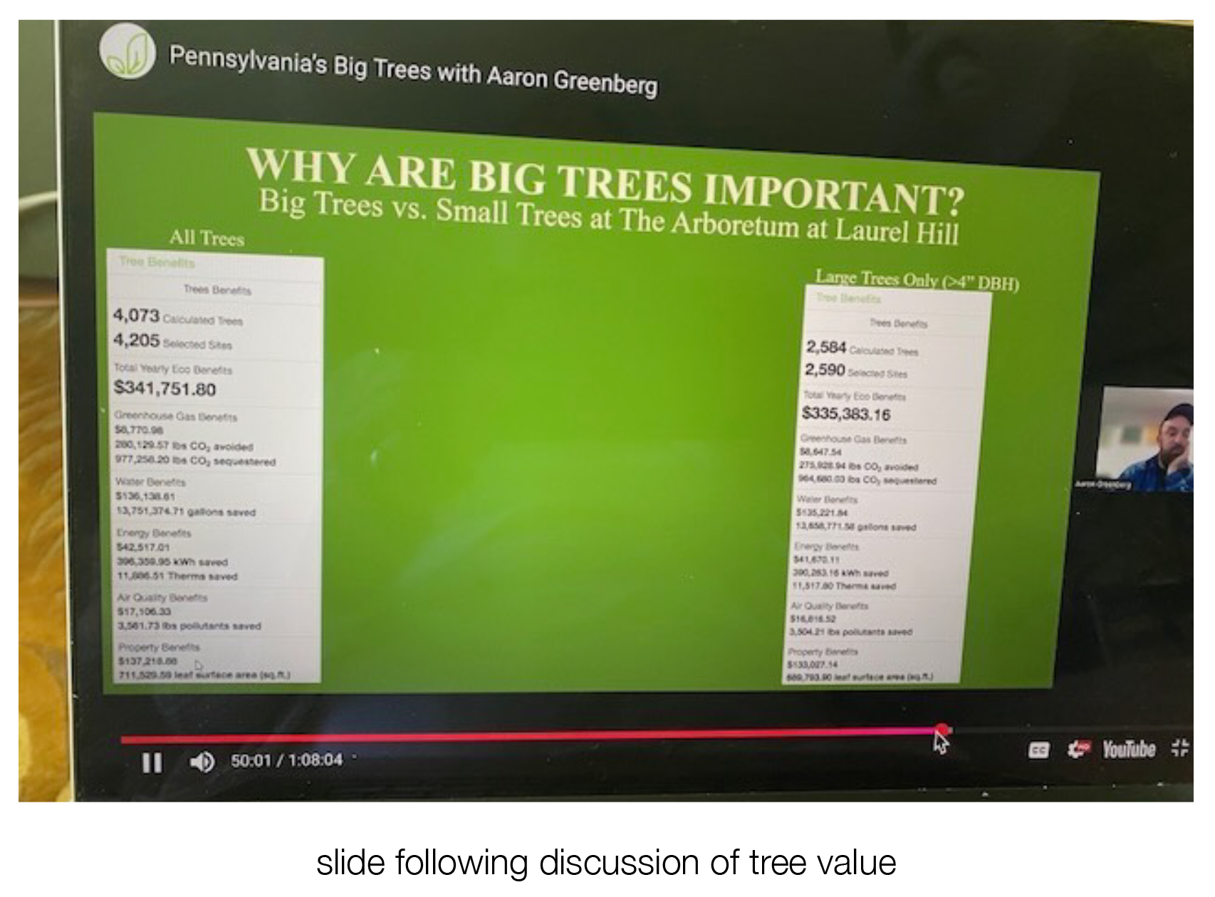 Monthly Gardening Tips - Why Are Big Trees so Important?