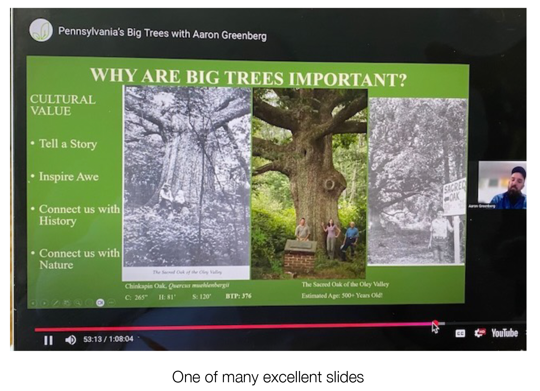 Monthly Gardening Tips - Why Are Big Trees so Important?