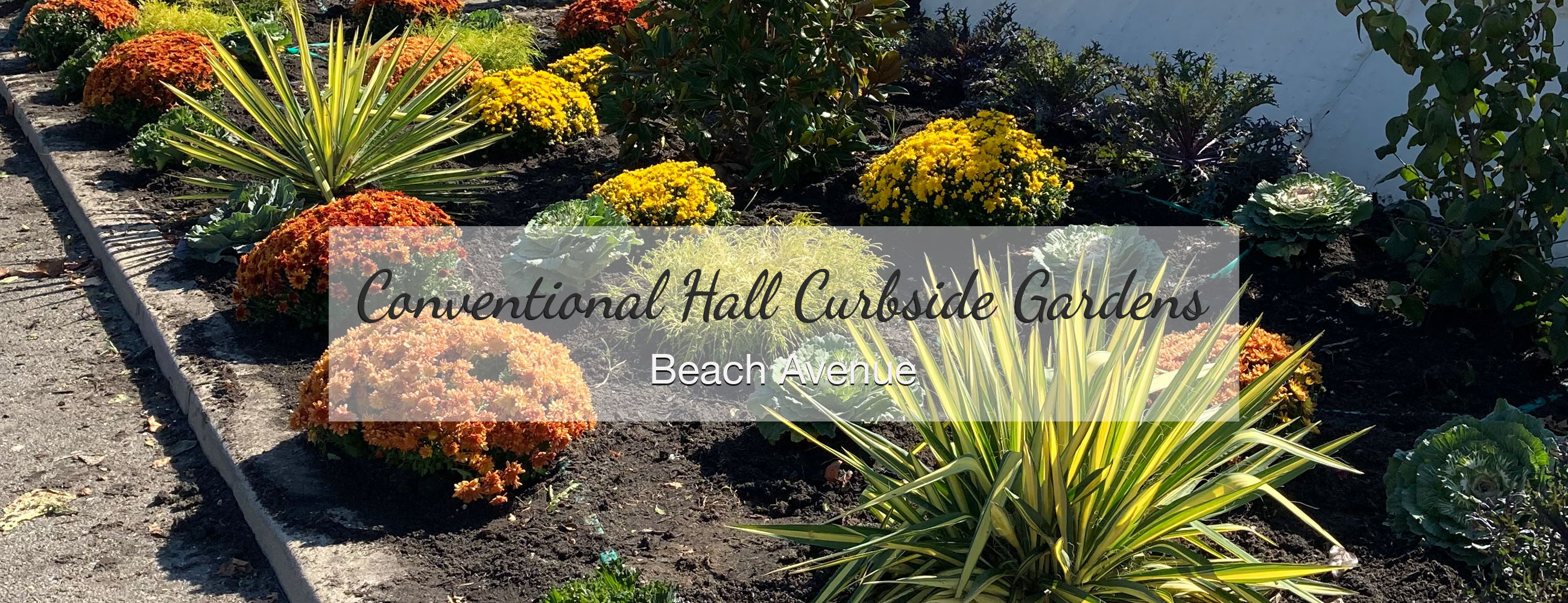 Community Gardens The Garden Club of Cape May